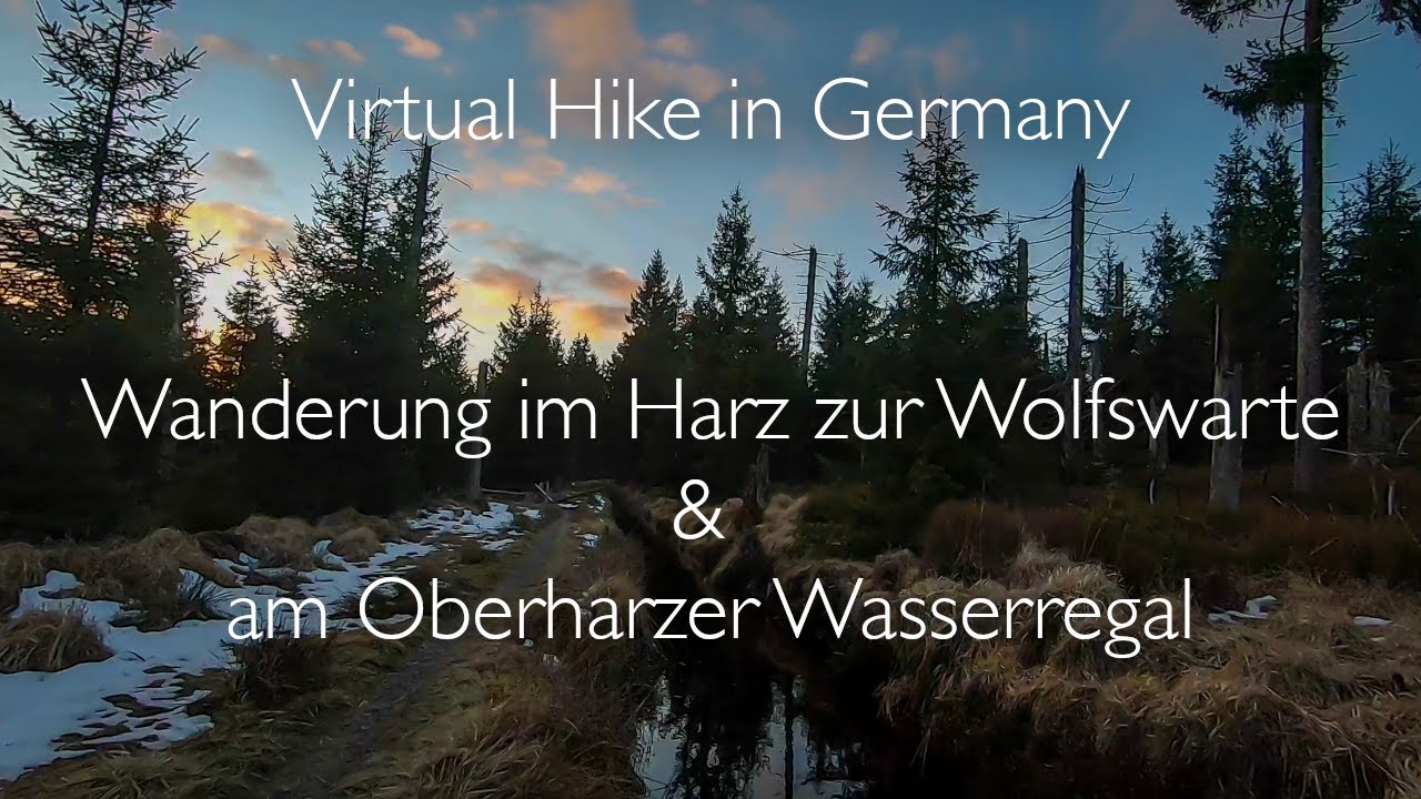 Virtual Hike in Germany - Beruhigende Wanderung im Harz -zur Wolfswarte & zum Oberharzer Wasserregal