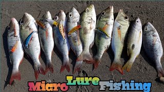 MICRO LURE FISHING | TECHNIQUES AND SET UP