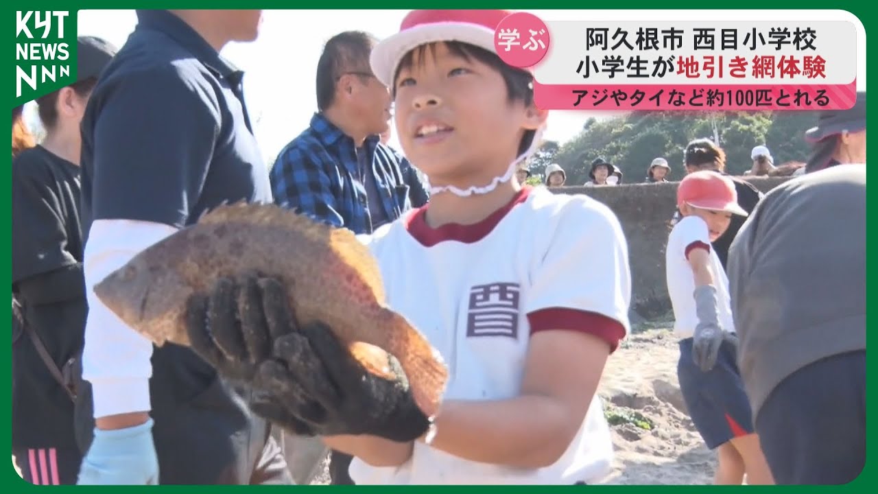 フライにして食べる」 阿久根市の小学校で地引き網体験 アジやイカ