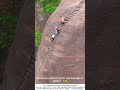 Man Carries Bamboo on a Dangerous Peak in Danxia Mountain – Nerves of Steel 🎋⛰️