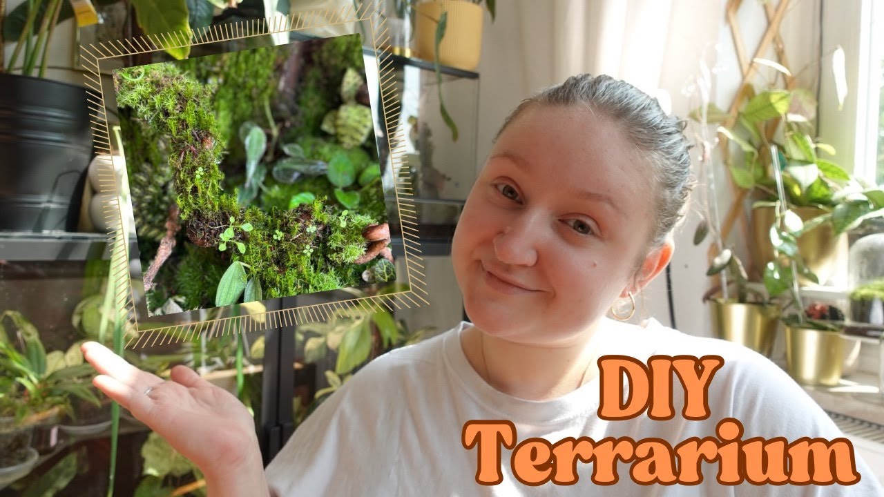 Terrarium DIY | Aufbau, Moos & Pflanzen