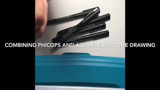 Combining Doodles Aqufleur and Phicops
