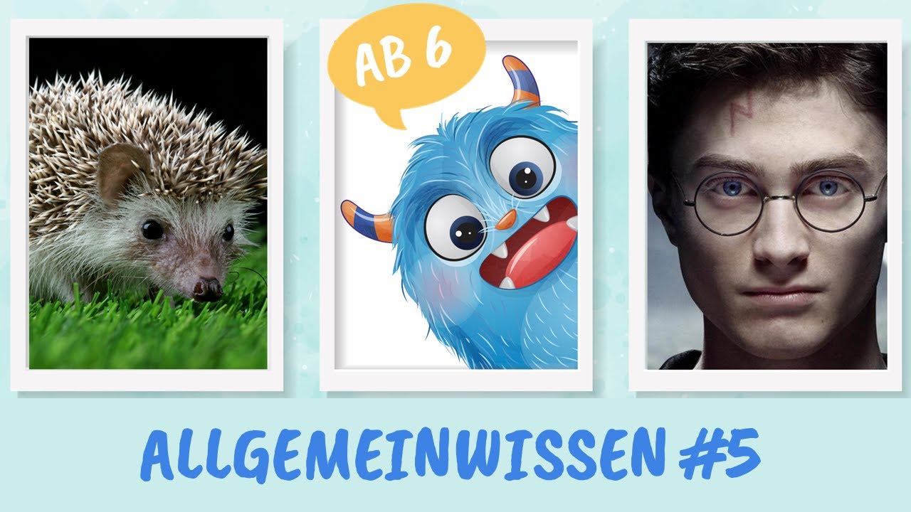 Kinderquiz ab 6 Jahre - Allgemeinwissen Nr. 5