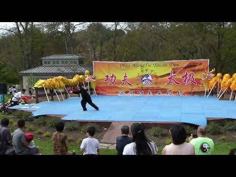 Master Zhichao Ling's Chen 56 Forms Taiji