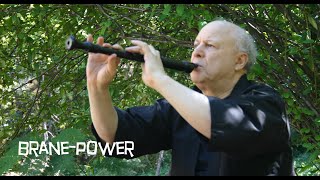 How to CLEAN a Recorder screenshot 5