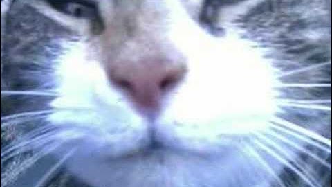 How to upload with Pinnacle