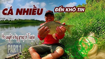 Chài Cá Trúng Ổ Rô Phi Tiền Sử | Phần 1 • #CTOVlogs Cuộc Sống Xa Quê #28