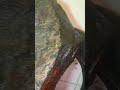 #pedraspreciosas