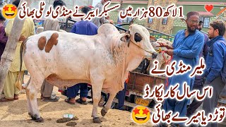 Malir Mandi Karachi Cattle Latest Rates & Soday 🤩 | 180K Me Subscriber Ka Vip Soda | Bakra Eid 2026
