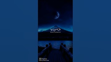 قران كريم بصوت الشيخ هزاع البلوشي 🤍🤍🤍🤍🤍🤍🤍