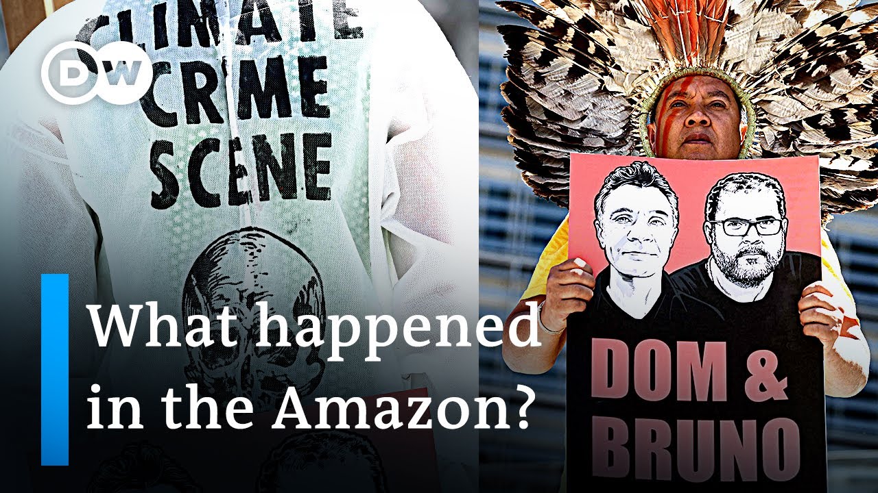 Human remains found during search for British journalist and Brazilian guide | DW News