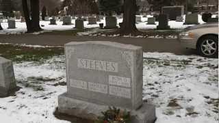 Lt. David Steeves USAF  Gravesite...........The long forgotten story of a fallen hero Net Worth
