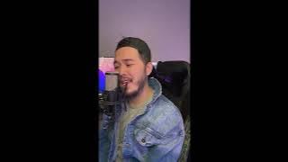 Sapphire - Beat The System (Cover)