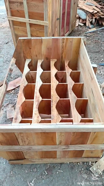 kandang merpati sederhana