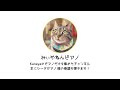 【重大発表!】サブチャンネルできました!!