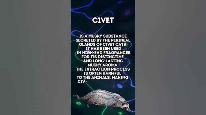 Fragrance Quiz Discover the Secret Ingredient from Civet Cats and Vegan Alternatives #civetcat - DayDayNews