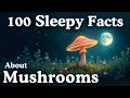 Relaxing Mushroom Facts to Help You Sleep π