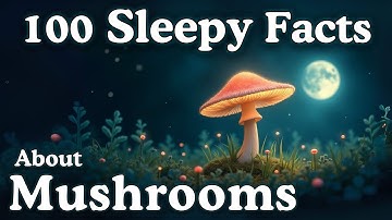 The Most Relaxing Facts About Mushrooms to Fall Asleep To