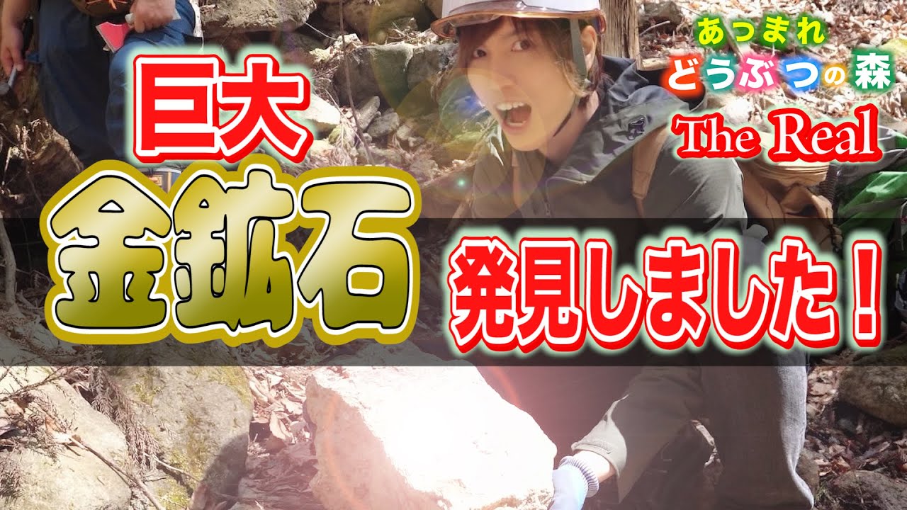 Animal Crossing] I discovered a huge gold ore in the mountains