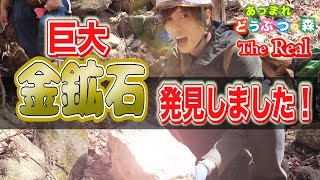 【あつ森】山で巨大な金鉱石発見しました！！【実験】science experiments