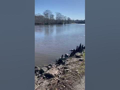 That’s Not Right: Current going opposite directions English Bayou, Lake