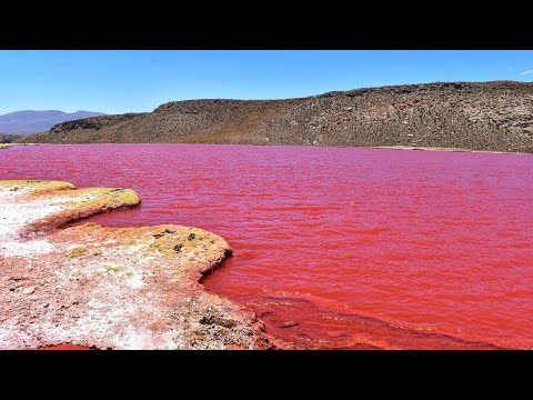 Video: Bloody Lake I Texas Skrämde Troende - Alternativ Vy