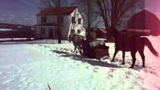 DSCF0577.AVI winter2010