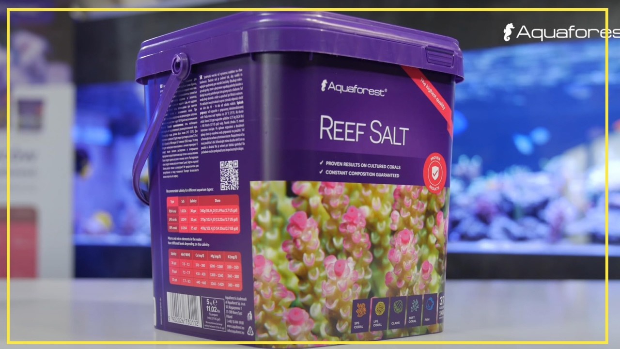 Почему мы перешли на Reef Salts, и вам тоже стоит поступить так же
