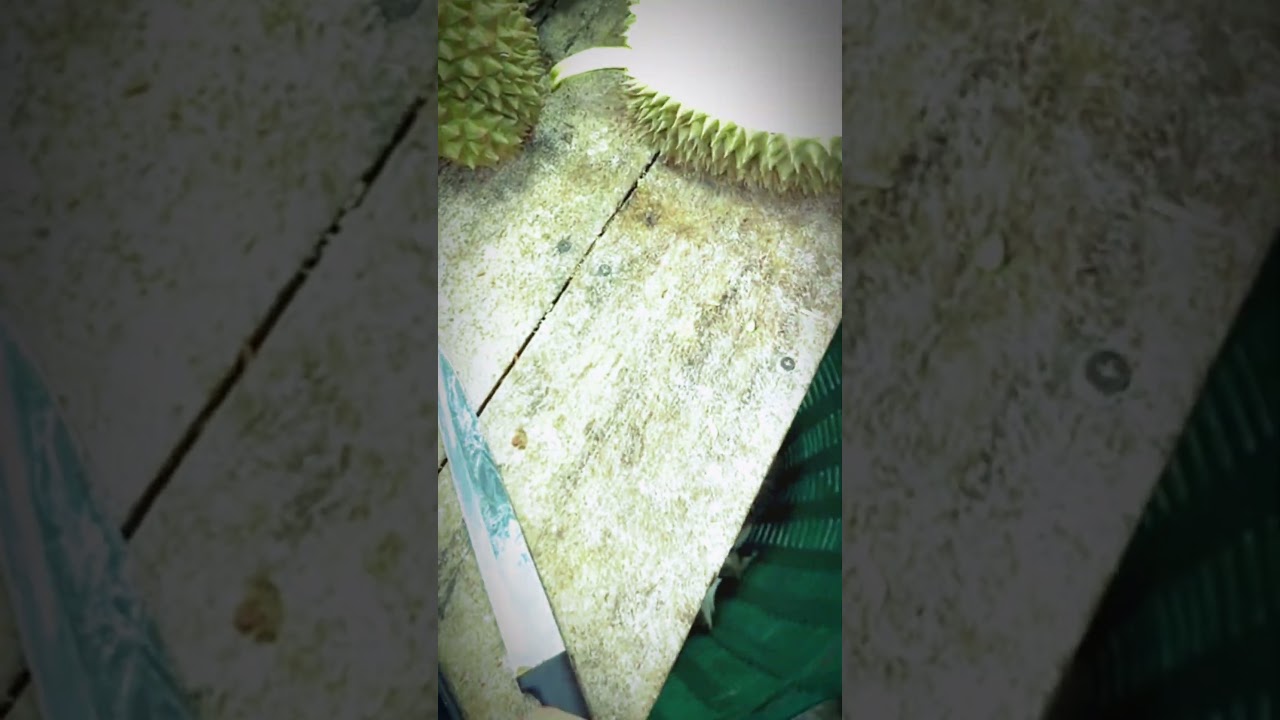 Peeling Durian with Bare Hands?! 💪🥭 Unbelievable Skill! 