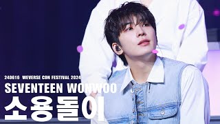 [FACECAM] 240616 세븐틴 원우 WEVERSE CON 소용돌이 직캠 4K