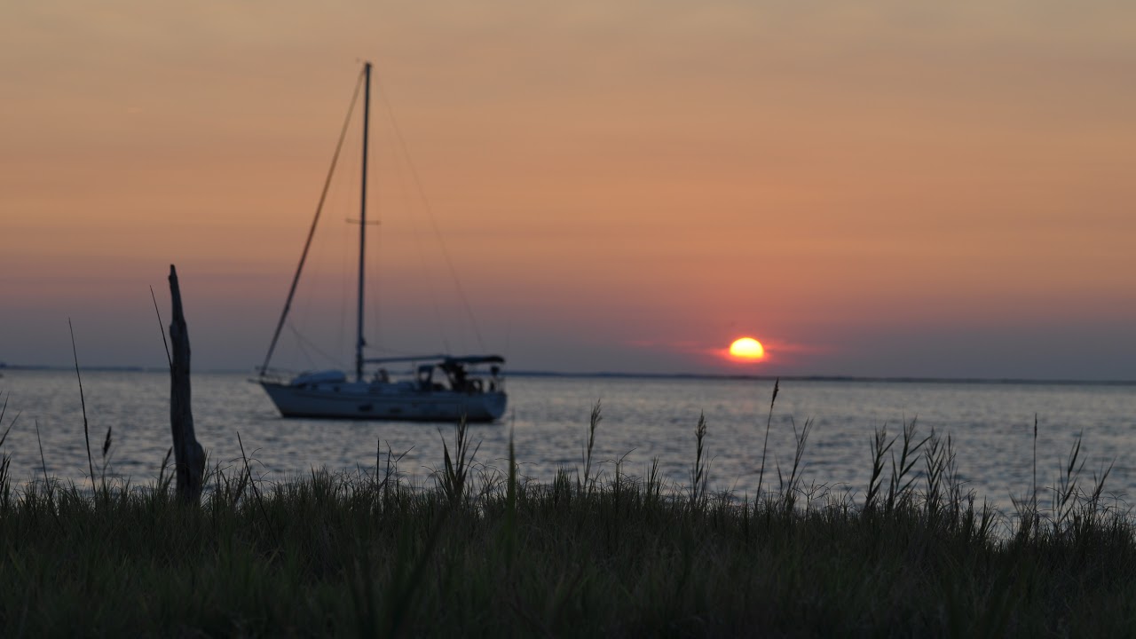 Daily Tax Minute: Scams vs rip-offs