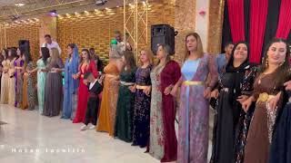 Nazê Nêrgiz Hewşê - Mehmûd Bardazî -  [ offıcial Music vido ]