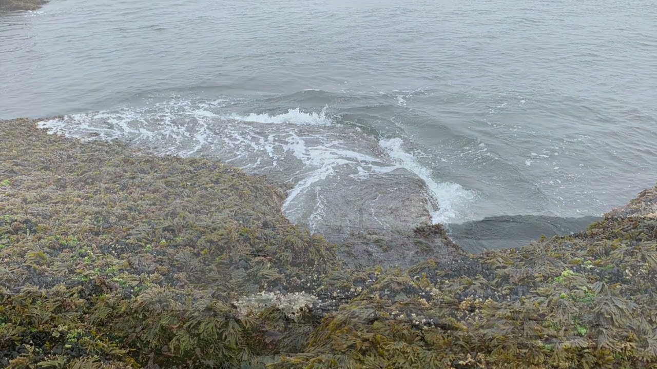 Michael Dinallo - Eggemoggin Interlude (A Slight Return) (Official Audio)