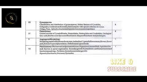 CCSU Meerut | BSC 2nd Sem | Botany (B040201T) | Syllabus | NEP 2020 | Major Subject | 📚✨