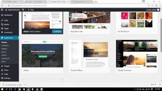 Information How to Install wordpress theme through wamp directory. Guide