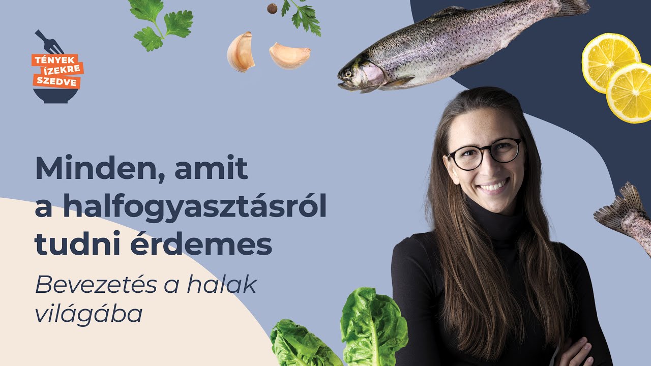 Minden, amit a halfogyasztásról tudni érdemes - Bevezetés a halak világába