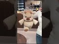Literally the perfect gift for any plushie lover…🥹💕 #plushy #plushie #plushiecollector #teddybear