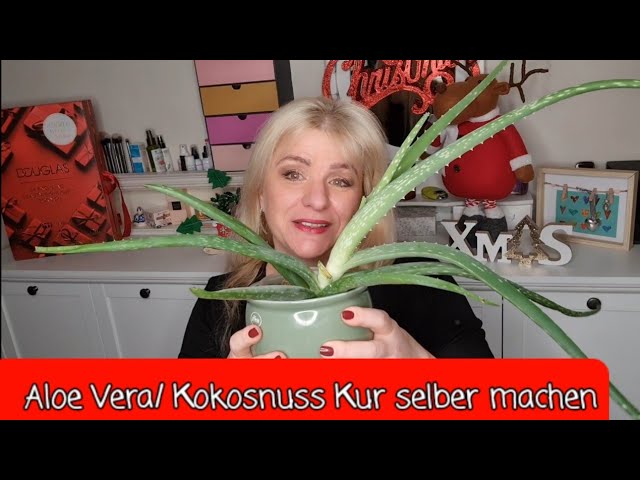 Aloe Vera/Kokosl Haarkur selber machen DIY