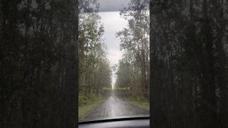 A little rain and a lot of calm✨#monsoon #dayinmylife #fyp #rain #explore #vlog #nature #healing
