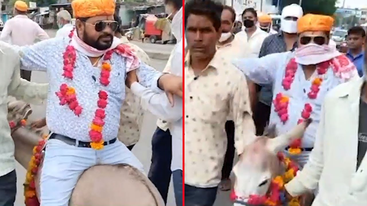 Watch: BJP leader rides donkey to please rain gods