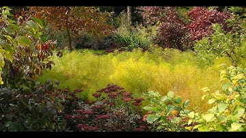 Site Analysis, Design, and Maintenence intro with Mike Nadeau.