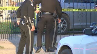 Roswell Police Chief, frustrated with repeat offenders, calls out DA and Judges