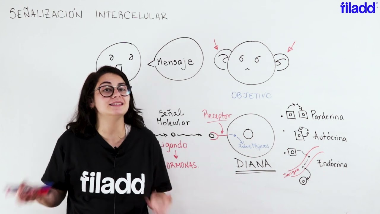 Generalidades de la Comunicación Celular | Bioquímica UBA