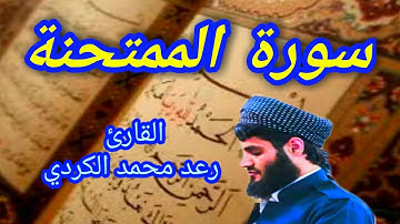 سورة الممتحنة - القارئ رعد محمد الكردي