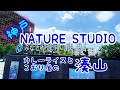 【神戸】みなとやま水族館/NATURE STUDIOとカレーライスとこおり屋の湊山