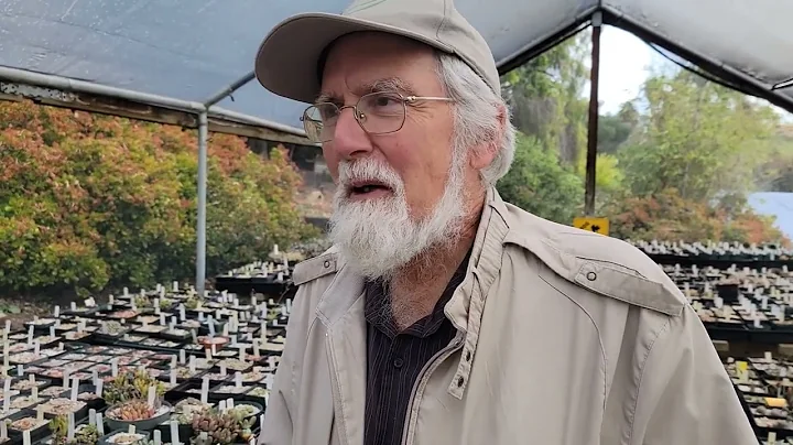 Growing Lithops aka "living stone"-A Conversation ...
