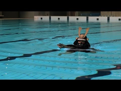 Swimming the hard way in Japan: in samurai armour