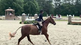 3'3 Juniors 2026 James River Hunt Horse Show