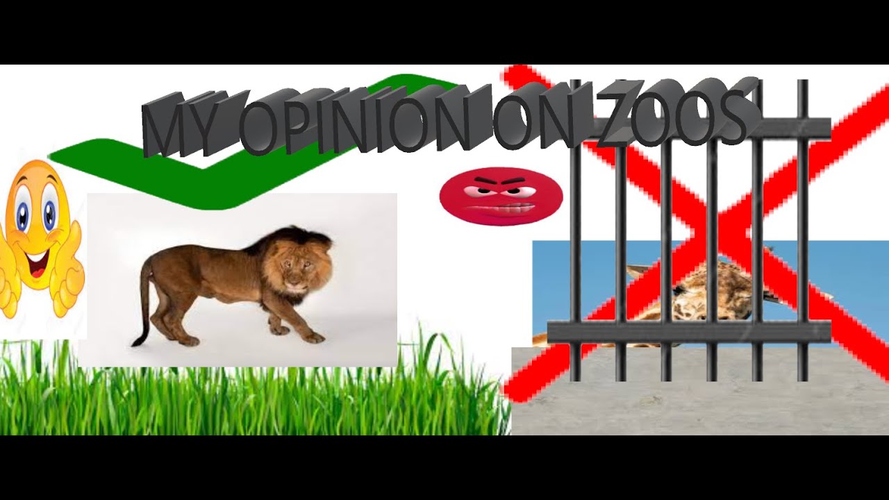 MY 5 OPINION ON ZOOS!!!!!!🙊🙊🙊 YouTube
