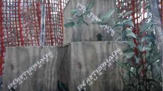Call of Duty MW3 New Easter egg On Village Porter Haus industries & other spoilers